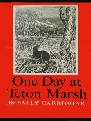 cover image of One Day At Teton Marsh
